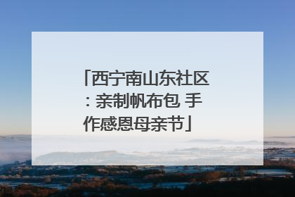 西宁南山东社区：亲制帆布包 手作感恩母亲节
