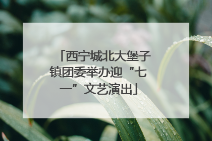 西宁城北大堡子镇团委举办迎“七一”文艺演出