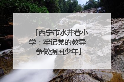 西宁市水井巷小学：牢记党的教导 争做强国少年