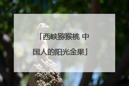西峡猕猴桃 中国人的阳光金果