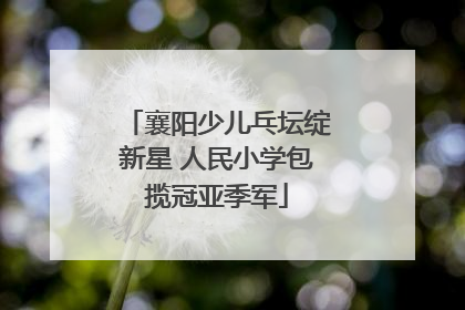 襄阳少儿乓坛绽新星 人民小学包揽冠亚季军