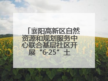 襄阳高新区自然资源和规划服务中心联合基层社区开展“6·25”土地日宣传活动