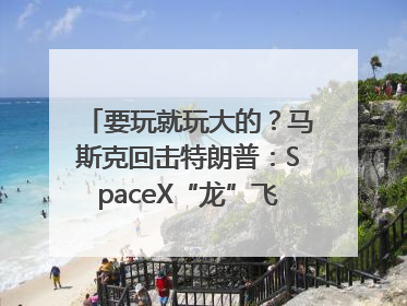 要玩就玩大的？马斯克回击特朗普：SpaceX“龙”飞船将立即退役！
