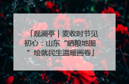 观澜亭｜麦收时节见初心：山东“晒粮地图”绘就民生温暖画卷