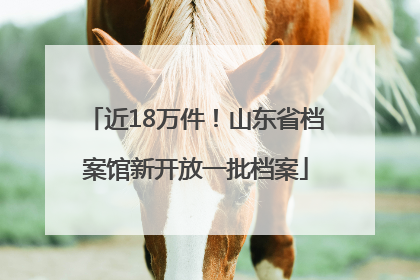近18万件！山东省档案馆新开放一批档案