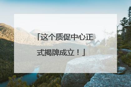 这个质促中心正式揭牌成立！