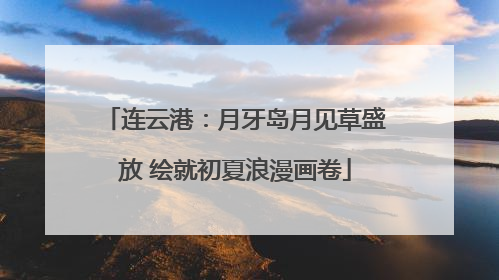 连云港：月牙岛月见草盛放 绘就初夏浪漫画卷