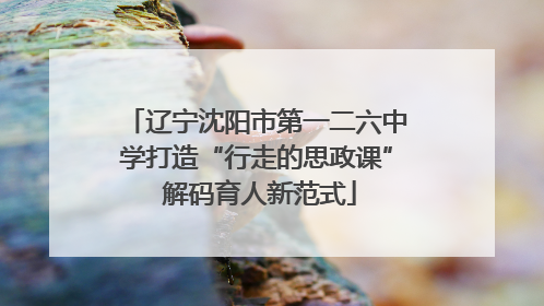 辽宁沈阳市第一二六中学打造“行走的思政课” 解码育人新范式