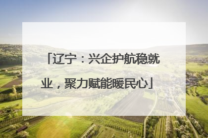 辽宁：兴企护航稳就业，聚力赋能暖民心