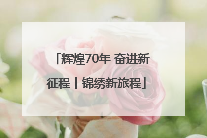 辉煌70年 奋进新征程丨锦绣新旅程