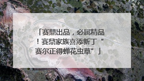 赛鼎出品，必属精品！赛鼎家族喜添新丁“赛尔正得蝉花虫草”
