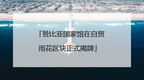 赞比亚国家馆在自贸雨花区块正式揭牌