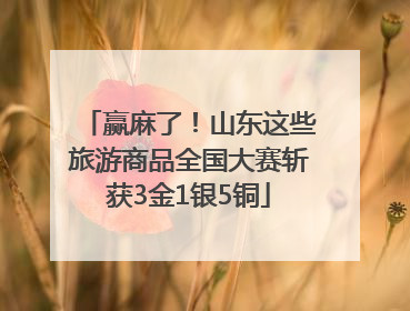 赢麻了！山东这些旅游商品全国大赛斩获3金1银5铜