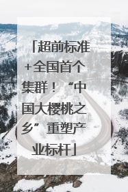 超前标准+全国首个集群！“中国大樱桃之乡”重塑产业标杆