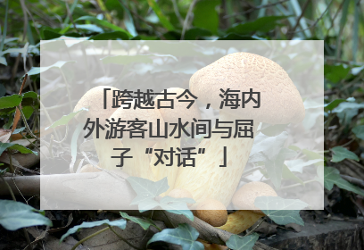 跨越古今，海内外游客山水间与屈子“对话”