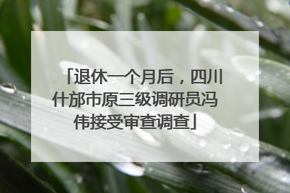 退休一个月后，四川什邡市原三级调研员冯伟接受审查调查