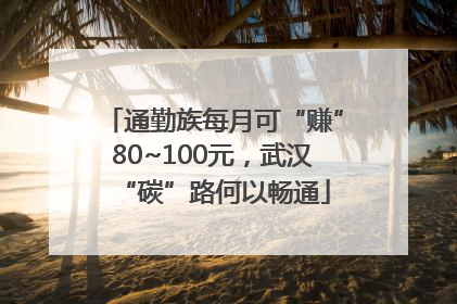 通勤族每月可“赚”80~100元，武汉“碳”路何以畅通