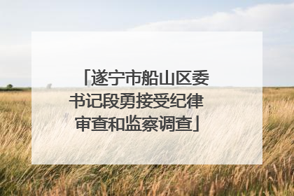 遂宁市船山区委书记段勇接受纪律审查和监察调查