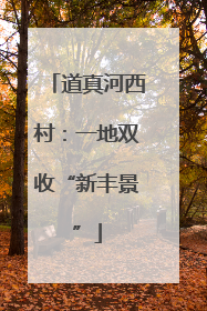 道真河西村：一地双收“新丰景”