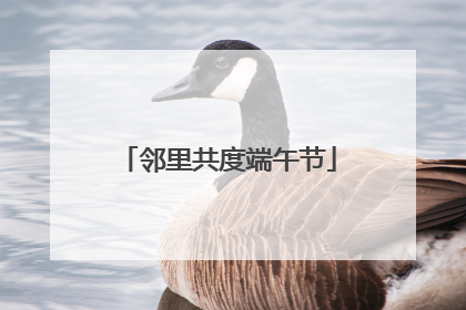 邻里共度端午节