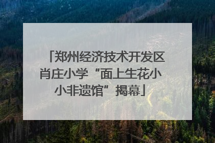 郑州经济技术开发区肖庄小学“面上生花小小非遗馆”揭幕