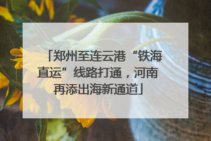 郑州至连云港“铁海直运”线路打通，河南再添出海新通道