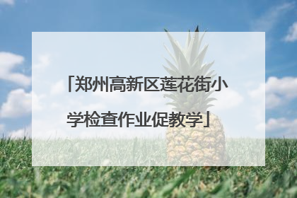 郑州高新区莲花街小学检查作业促教学