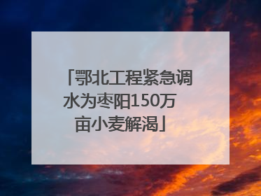 鄂北工程紧急调水为枣阳150万亩小麦解渴