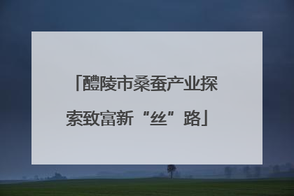 醴陵市桑蚕产业探索致富新“丝”路