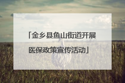 金乡县鱼山街道开展医保政策宣传活动