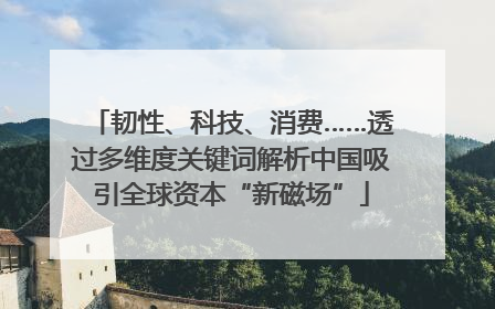 韧性、科技、消费……透过多维度关键词解析中国吸引全球资本“新磁场”