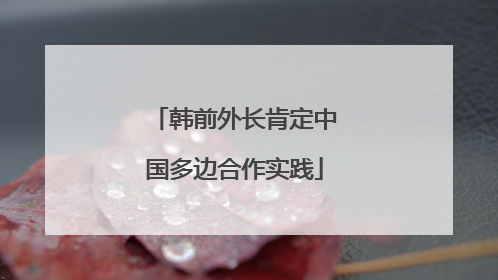 韩前外长肯定中国多边合作实践