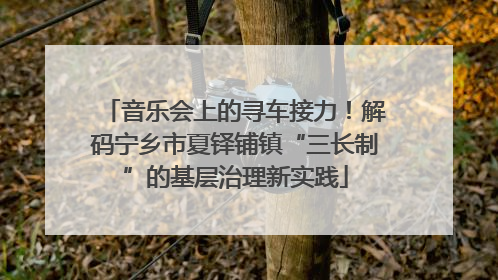 音乐会上的寻车接力！解码宁乡市夏铎铺镇“三长制”的基层治理新实践
