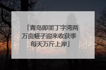 青岛即墨丁字湾两万亩蛏子迎来收获季 每天万斤上岸