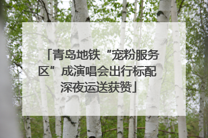 青岛地铁“宠粉服务区”成演唱会出行标配 深夜运送获赞
