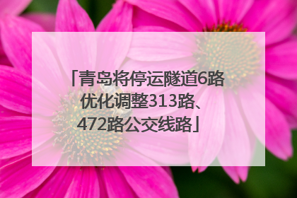 青岛将停运隧道6路 优化调整313路、472路公交线路