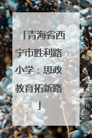 青海省西宁市胜利路小学：思政教育拓新路