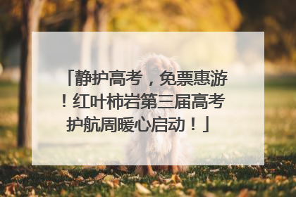 静护高考，免票惠游！红叶柿岩第三届高考护航周暖心启动！