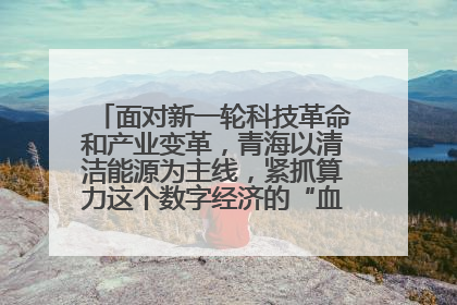面对新一轮科技革命和产业变革，青海以清洁能源为主线，紧抓算力这个数字经济的“血液”、科技主权的“筹码”、产业升级的“杠杆”、绿色转型的“支点”，勇于撬动国家“双碳”战略、“东数西算”工程重大发展新机遇