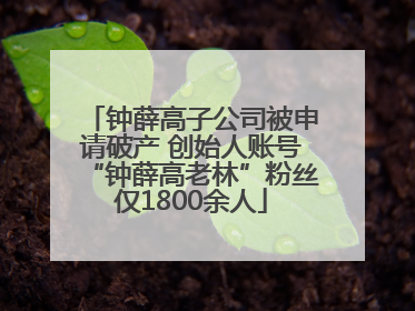 钟薛高子公司被申请破产 创始人账号“钟薛高老林”粉丝仅1800余人