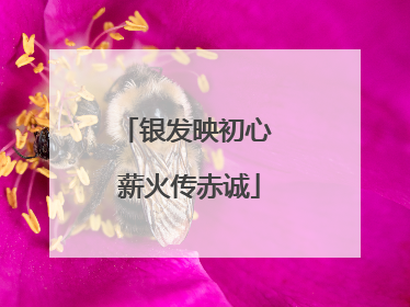 银发映初心 薪火传赤诚