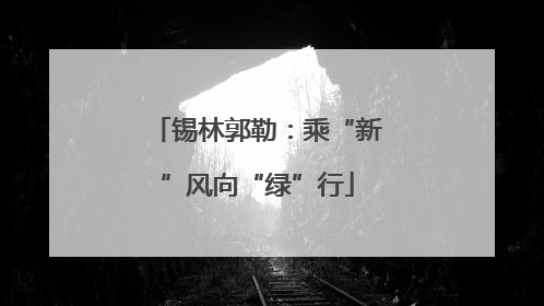 锡林郭勒：乘“新”风向“绿”行