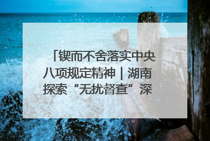 锲而不舍落实中央八项规定精神｜湖南探索“无扰督查”深化基层减负