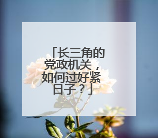 长三角的党政机关，如何过好紧日子？