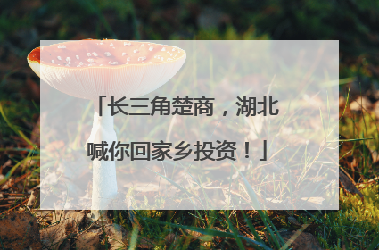 长三角楚商，湖北喊你回家乡投资！
