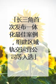长三角首次发布一体化最佳案例，组建区域轨交运营公司等入选