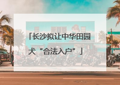 长沙拟让中华田园犬“合法入户”