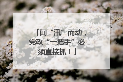闻“汛”而动，党政“一把手”必须直接抓！