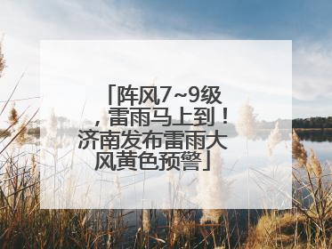 阵风7~9级，雷雨马上到！济南发布雷雨大风黄色预警