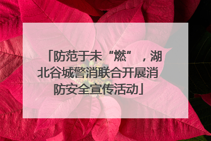 防范于未“燃”，湖北谷城警消联合开展消防安全宣传活动
